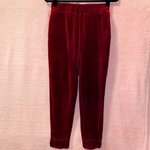 Velour Maroon Jogger Pants Highwaist Extra Small Deep Red XS Wild Fable Velvet